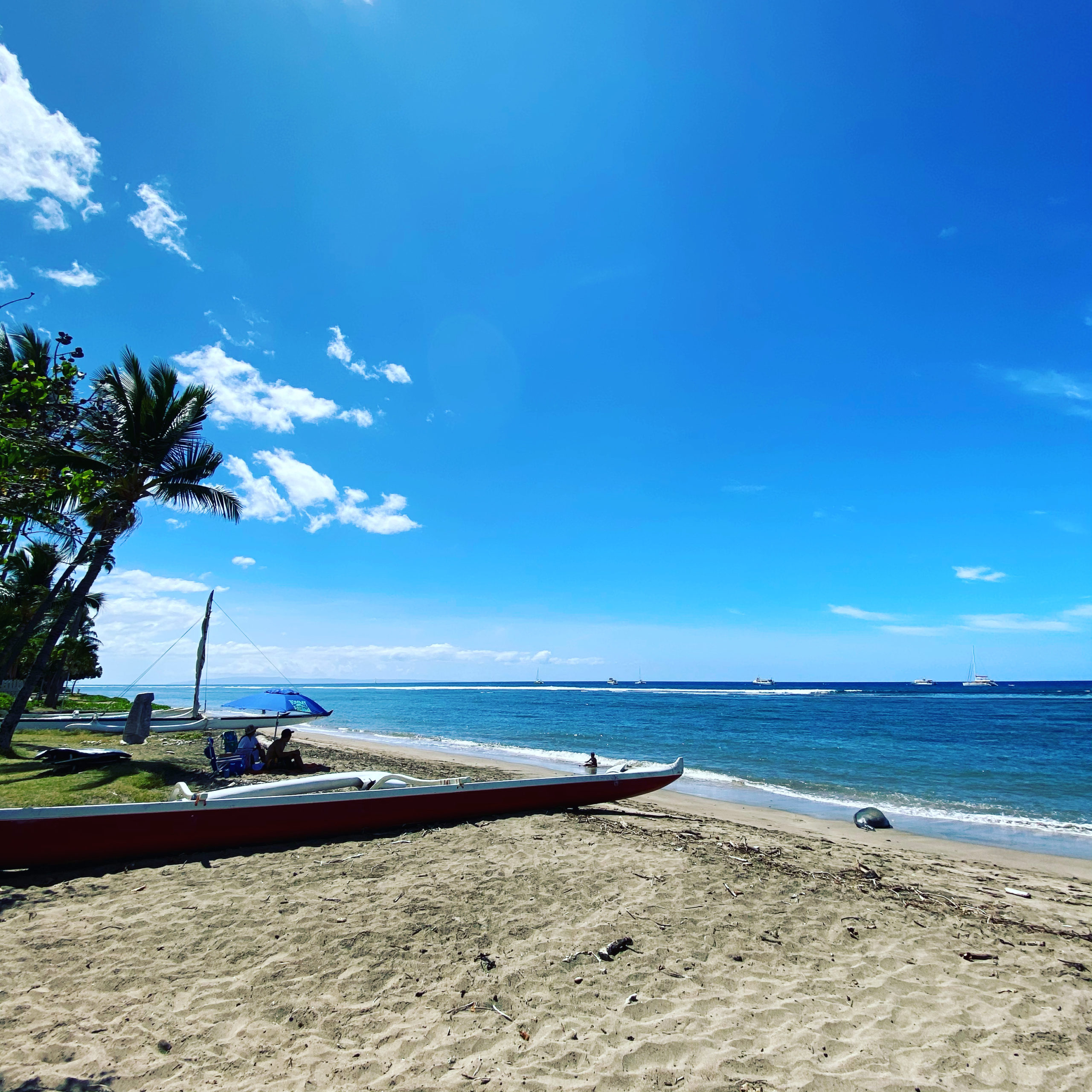 マウイ島リゾートエリアの海の景色