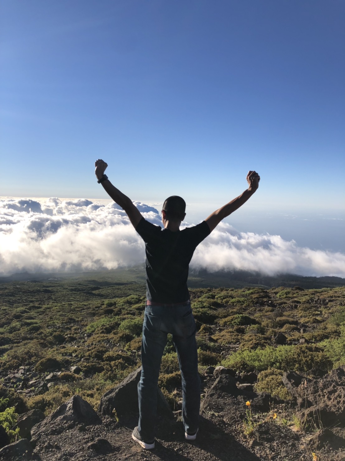 マウイ移住　HER